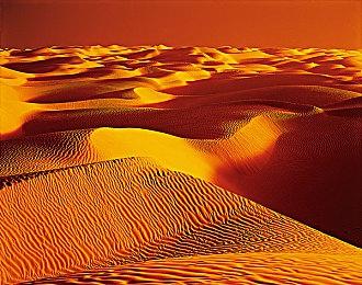 魔戒未述故事 潜行游戏《魔戒：咕噜》公开玩法预告