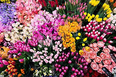 在发售七年后，《死亡细胞》最终更新现已上线