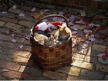 动作冒险《HELL is US》公布新概念图 明年发售